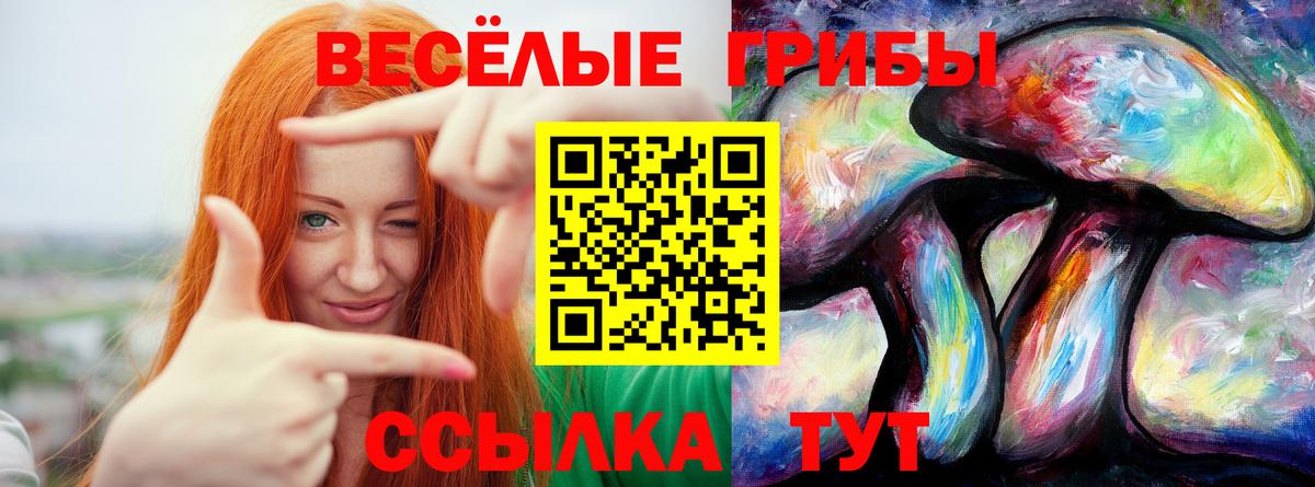 Курган  Галлюциногенные грибы GOLDEN TEACHER  Галлюциногенные грибы ЛСД  Вход с VPN 